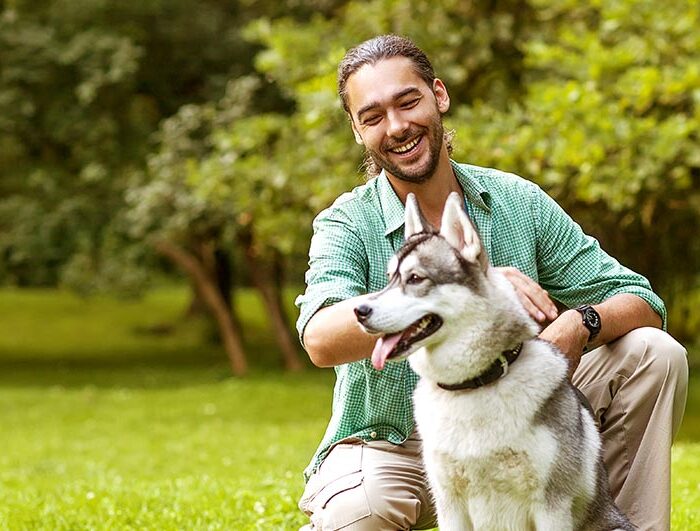 Training your dog to be gentle with visitors