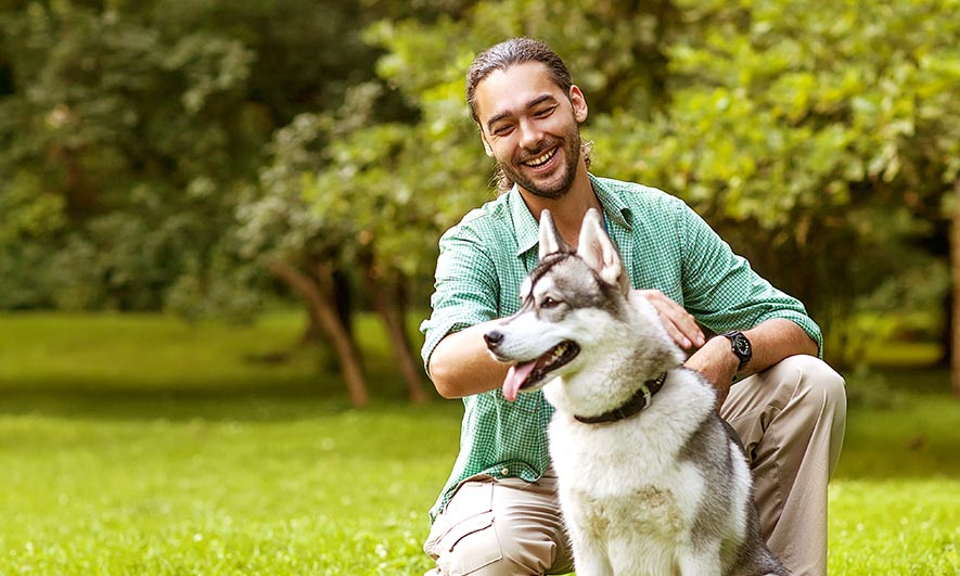 Training your dog to be gentle with visitors
